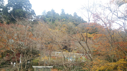 奈良県の神社