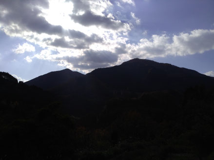 平和農園
