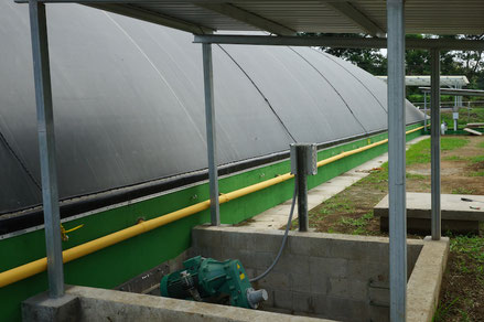 CSTR Lagoon tropicalized digester - Aqualimpia Engineering Germany