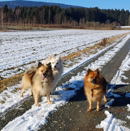 Großspitz und Mittelspitz von Jaluk Aurora in Bayern
