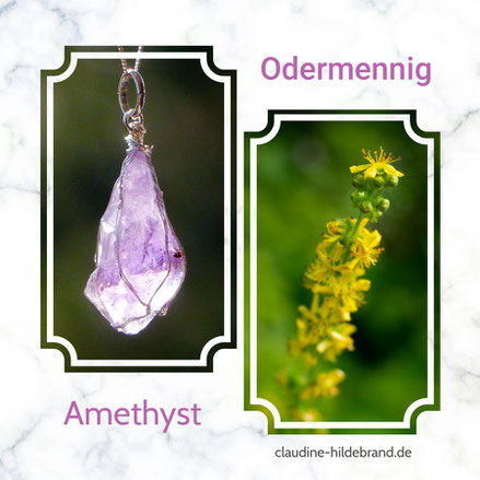 Stein und Blüte_Amethyst_Odermennig