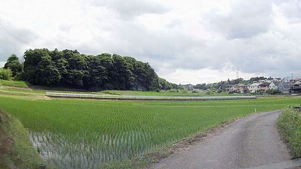 千葉県の のどかな田園地帯　所々に小さな里山が残されている