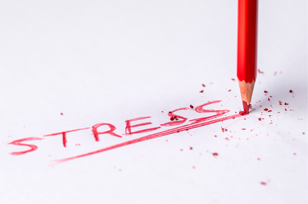 Stress wirkt sich auf unseren Körper aus