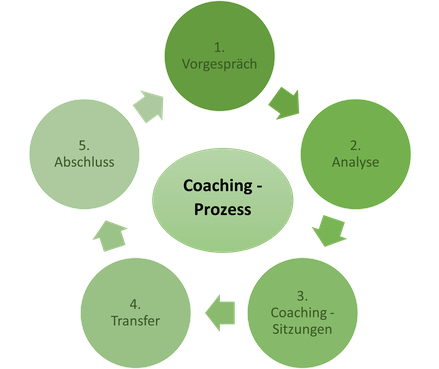 Naturcoach, Meditationslehrer, Shinrin Yoku Daniel Hauser, Uster, Coach, Coaching, Visionssuche, Coachingprozess