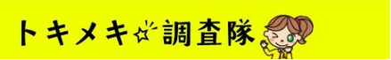 アンケートサイトライフメディアでときめき調査