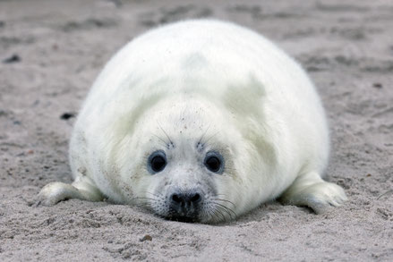 Bild: Rike Kremer-Obrock