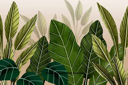Papier peint Casamance