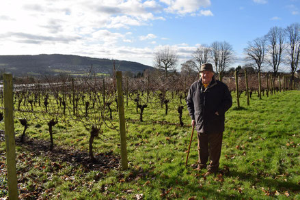 oenotourisme-vignoble-vignes-vins-anglais-angleterre-mumford-vineyard-bath-Rendez-Vous-dans-les-Vignes-Myriam-Fouasse-Robert