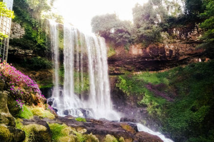 Dаmbrі in Dalat