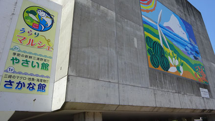 うらりマルシェ さかな館 やさい館 一般社団法人三浦市観光協会 うらりマルシェ さかな館 やさい館 一般社団法人三浦市観光協会