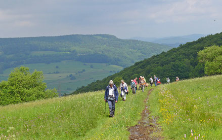 Mehrtätgige Exkursion ins Biosphärenreservat Rhön 2018 - Foto C.Schwarz