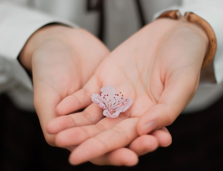 Kleine Blüte in großen Händen, Dankbarkeit auch für Kleinigkeiten praktizieren.