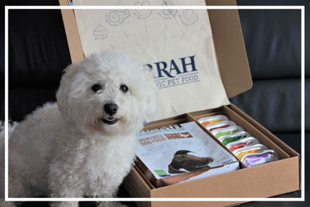 Hundefuttertest Yarrah Paket