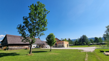 Ansicht - Wimroither Mühle - Camping und Naturerlebnis Attersee