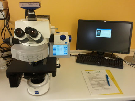 Microscopes de recherche révisés par Claude Gonon Microscopie