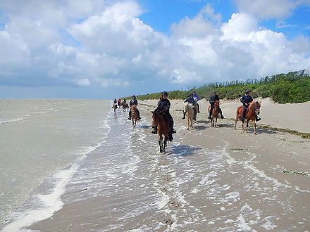 Camping Des Roses Home Facebook