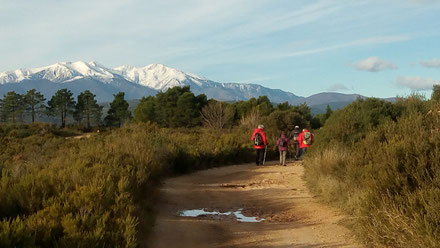 Rando plaisir de Randos Canétoises au départ de  Tressere vers la chapelle St Luc le 19 janvier 2018. Circuit de la bataille du Boulou