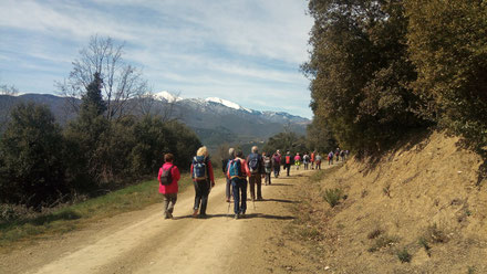 Rando plaisir de Randos Canétoises à Taillet vers ND de Roure le 23 mars  2018