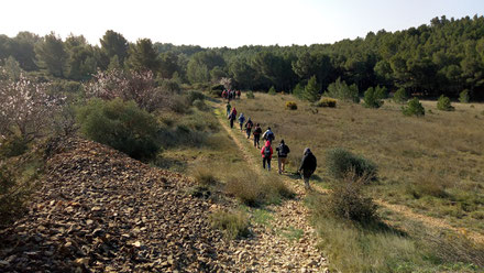 Rando plaisir de Randos Canétoises Salses le château, chemin des orris, le 23 février 2018