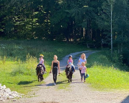 Familienurlaub mit Kleinkindern im Salzkammergut – Spaziergang mit Ponys auf ruhigem Naturweg in grüner Landschaft