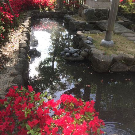 石切神社「水神社」（筆者撮影）