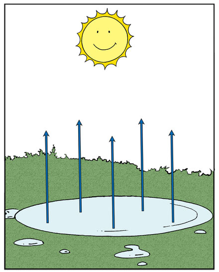 Hohe Verdunstung bei Sonnenschein und Wärme