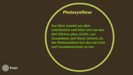 Prezi Photosynthese