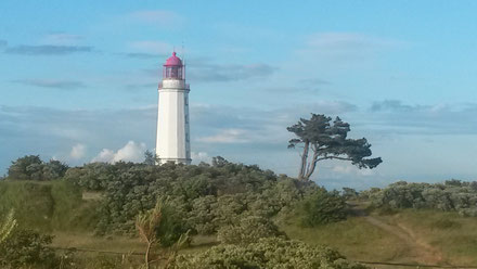 Leuchtturm mit Baum, Hiddensee