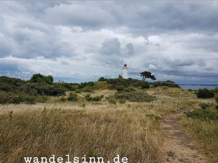 Leuchtturm mit Baum auf Hiddensee