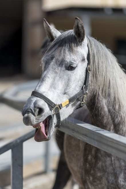 ...aber manche fanden es nicht so spannend