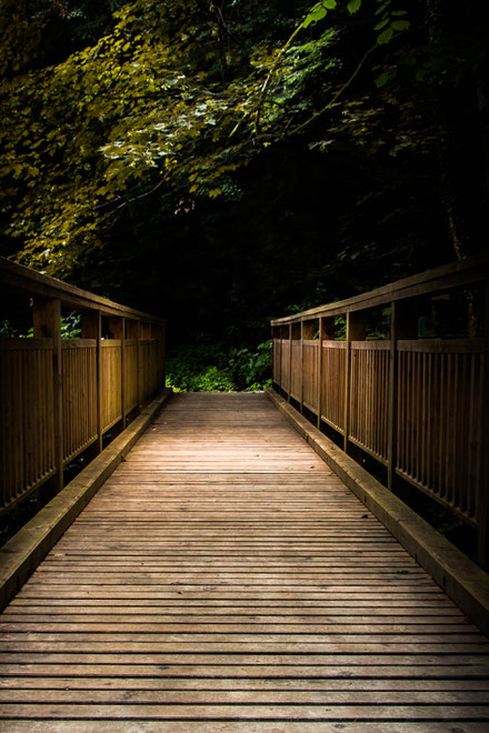 Andrea - Foto 7 - Brücke im Wald