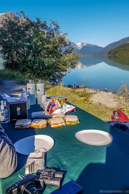 haines, chilkoot, lake, alaska, exkursion, bären, seeadler