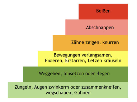 Schaubild der Eskalationsleiter