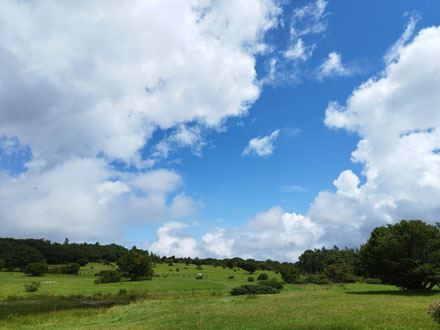 岡山県占い,津山市ヒーリング,倉敷市スピリチュアル,岡山市スピリチュアル,鳥取パワースポット,米子市スピリチュアルヒーリング