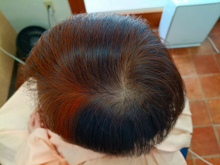 ヘナ染めたて