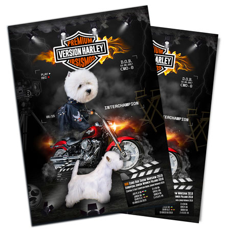 west highland white terrier motorbike creative black breeder dog presentation design Premium Version Harley Irsismos