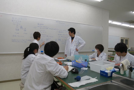 学生実験の様子