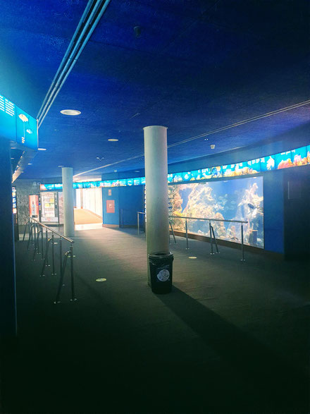 barcelone-aquarium