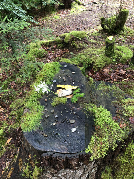 Kreative Trauerarbeit im Wald. Moosbewachsener Baumstrunk versehen mit Steinen, Blumen und weiteren Naturelementen, welche die Trauer sichtbar machen sollen.