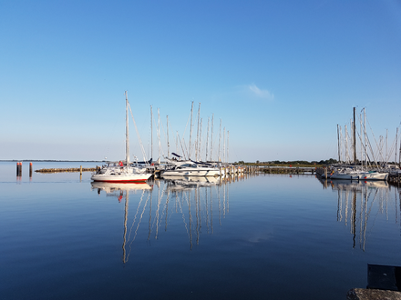 Blick auf den Seglerhafen Kloster