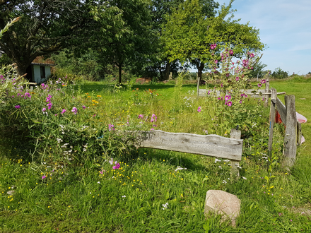 Feldberger Seenlandschaft