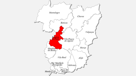 Localização do concelho de Ribeira de Pena no distrito de Vila Real