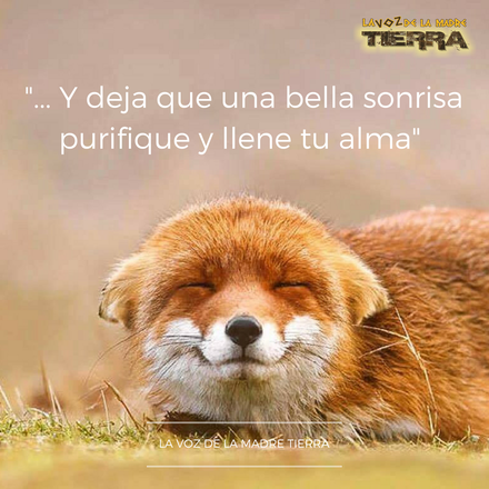 "...Et laisse un beau sourire purifier et remplir ton âme" - Cartel Facebook de LA VOZ DE LA MADRE TIERRA