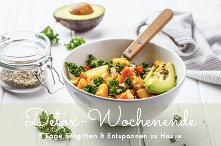 Das 3 Tage Programm mit Online Begleitung, Rezepten und Detox-Yoga 