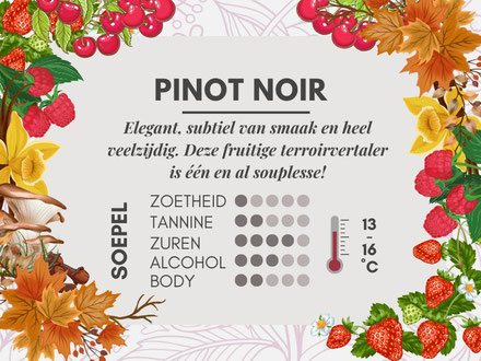 Pinot Noir Smaak Profiel