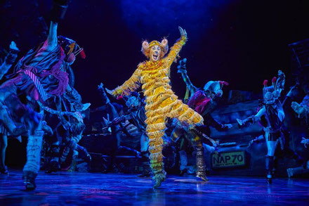 cats, comédie musicale, mogador, paris