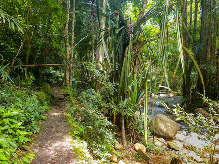 Khao Phra Thaeo Nationalpark