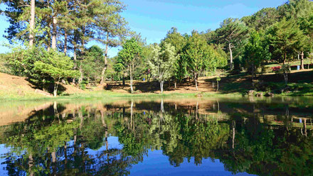 wald-blauber himmel-wasser-refelktionen-urlaub-unsere auszeit von virus-corono-covid19-auf 14taegiger tour in zentralvietnam