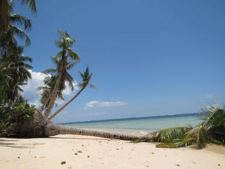 Palawan in the Philippines - Dante Harker