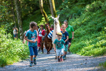 Lamatrekking für Kids im Cool Kids Sommer